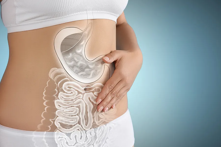 Close up of the midriff of a woman with white underwear and an illustration of the digestive system superimposed over the image. Get help for digestive issues and gut health from Tasmin Cordie, D.C. of Sage Functional Medicine in Marlboro Township.